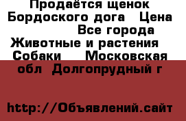 Продаётся щенок Бордоского дога › Цена ­ 37 000 - Все города Животные и растения » Собаки   . Московская обл.,Долгопрудный г.